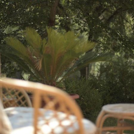 B&B Dei Fiori Praia a Mare Bagian luar foto