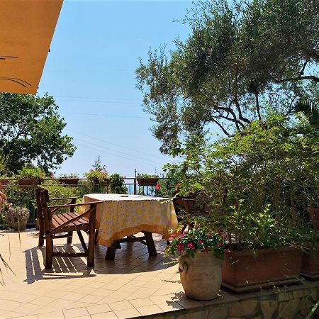 B&B Dei Fiori Praia a Mare Bagian luar foto