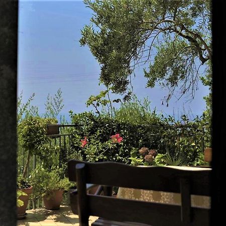 B&B Dei Fiori Praia a Mare Bagian luar foto