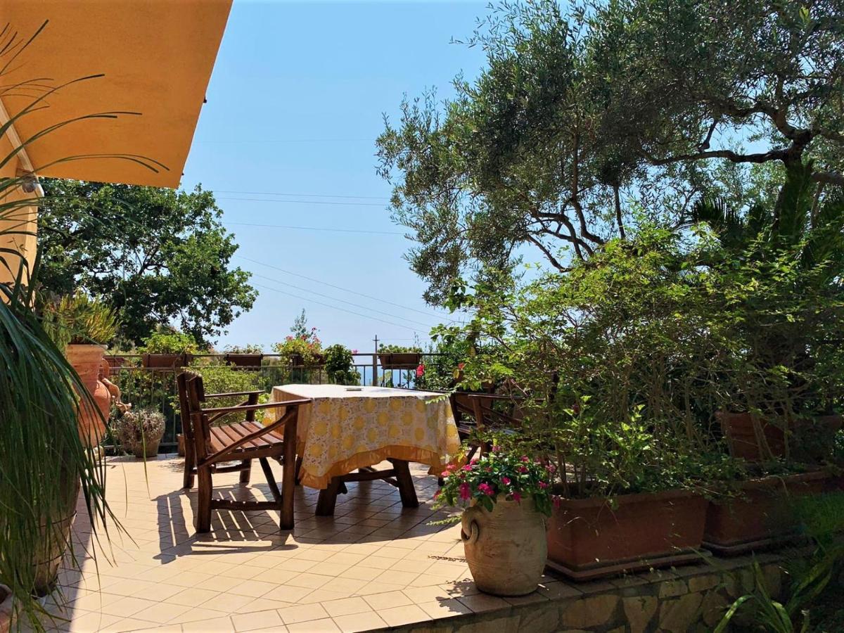 B&B Dei Fiori Praia a Mare Bagian luar foto